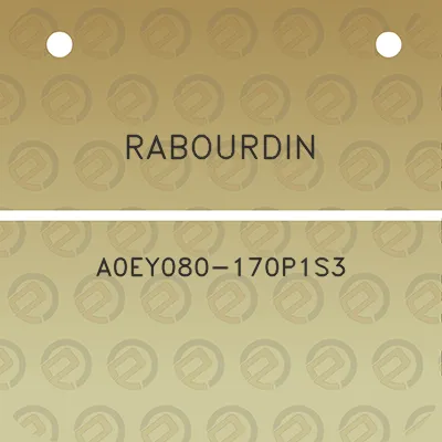 rabourdin-a0ey080-170p1s3