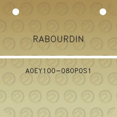 rabourdin-a0ey100-080p0s1