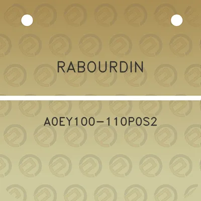 rabourdin-a0ey100-110p0s2