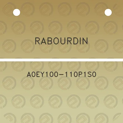 rabourdin-a0ey100-110p1s0