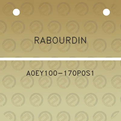 rabourdin-a0ey100-170p0s1