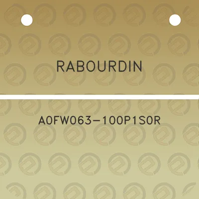 rabourdin-a0fw063-100p1s0r