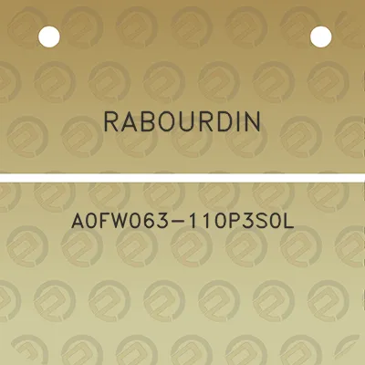 rabourdin-a0fw063-110p3s0l