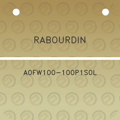 rabourdin-a0fw100-100p1s0l