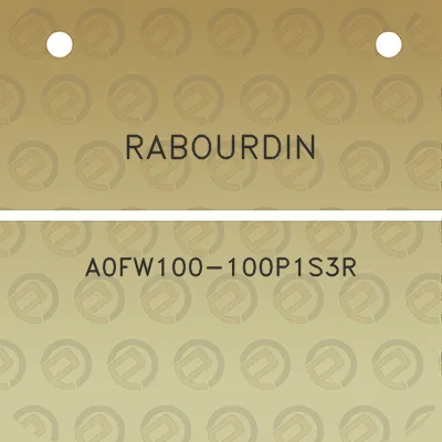 rabourdin-a0fw100-100p1s3r