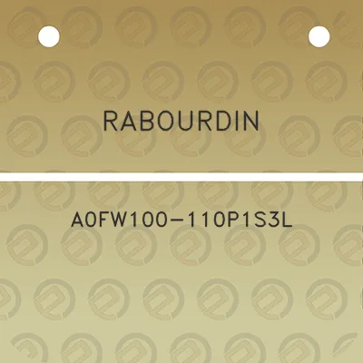 rabourdin-a0fw100-110p1s3l