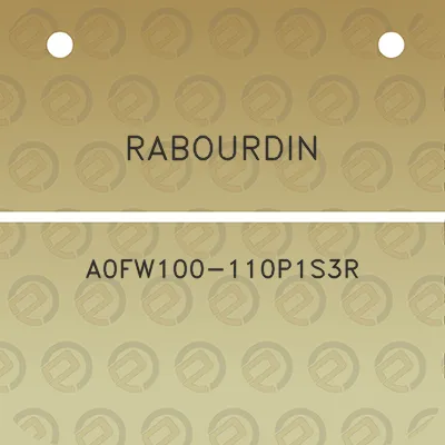 rabourdin-a0fw100-110p1s3r