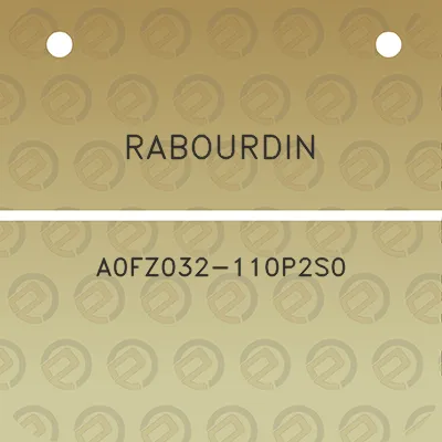 rabourdin-a0fz032-110p2s0