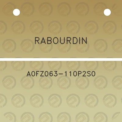 rabourdin-a0fz063-110p2s0