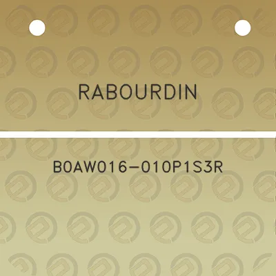 rabourdin-b0aw016-010p1s3r