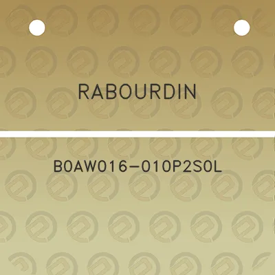 rabourdin-b0aw016-010p2s0l