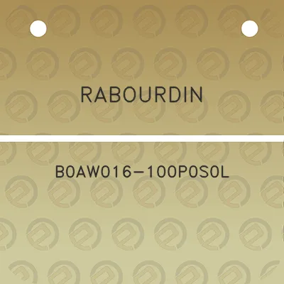 rabourdin-b0aw016-100p0s0l