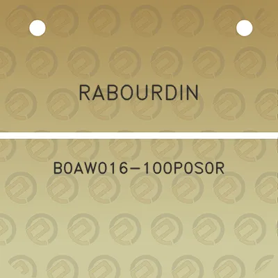 rabourdin-b0aw016-100p0s0r