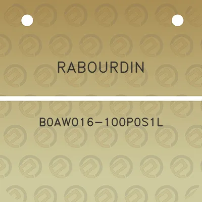 rabourdin-b0aw016-100p0s1l