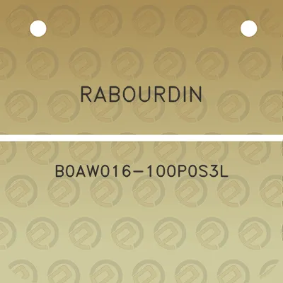 rabourdin-b0aw016-100p0s3l