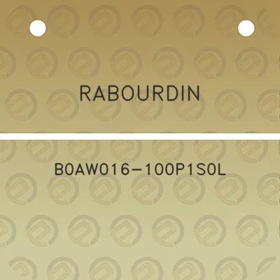 rabourdin-b0aw016-100p1s0l