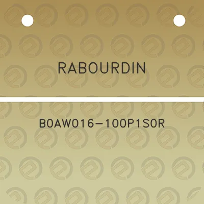 rabourdin-b0aw016-100p1s0r