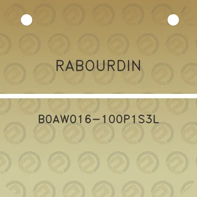 rabourdin-b0aw016-100p1s3l