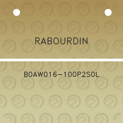 rabourdin-b0aw016-100p2s0l