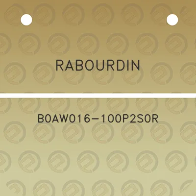 rabourdin-b0aw016-100p2s0r