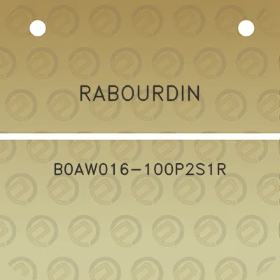 rabourdin-b0aw016-100p2s1r