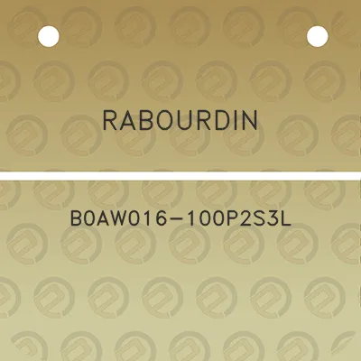 rabourdin-b0aw016-100p2s3l