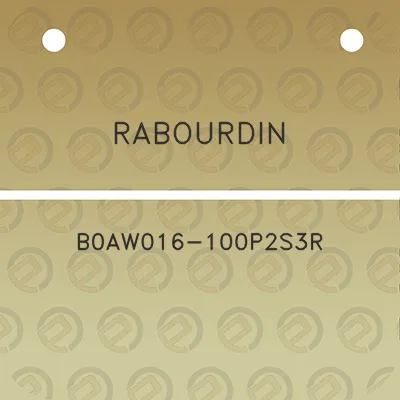 rabourdin-b0aw016-100p2s3r