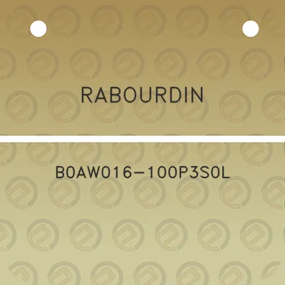 rabourdin-b0aw016-100p3s0l