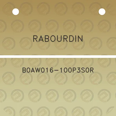 rabourdin-b0aw016-100p3s0r