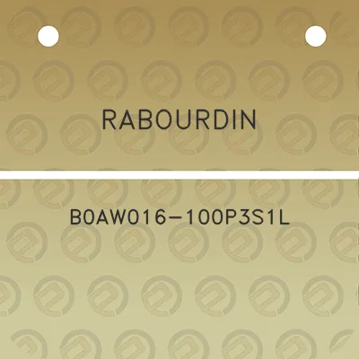 rabourdin-b0aw016-100p3s1l