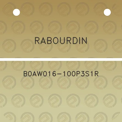 rabourdin-b0aw016-100p3s1r