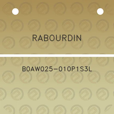 rabourdin-b0aw025-010p1s3l