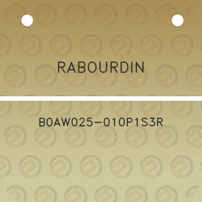 rabourdin-b0aw025-010p1s3r