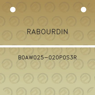 rabourdin-b0aw025-020p0s3r