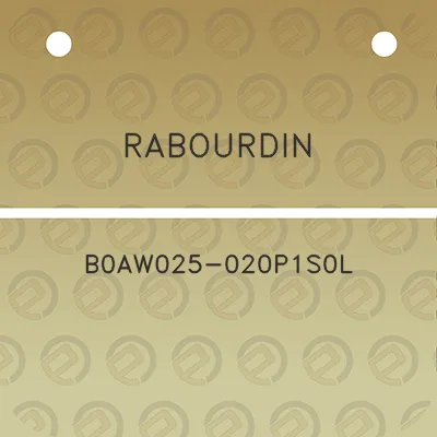 rabourdin-b0aw025-020p1s0l