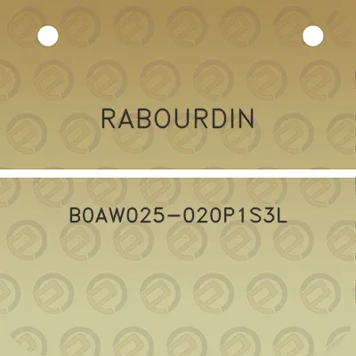 rabourdin-b0aw025-020p1s3l