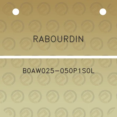 rabourdin-b0aw025-050p1s0l