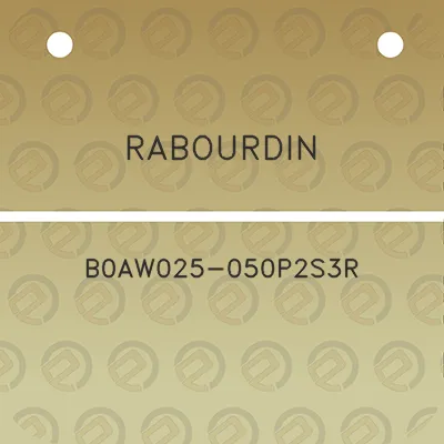 rabourdin-b0aw025-050p2s3r