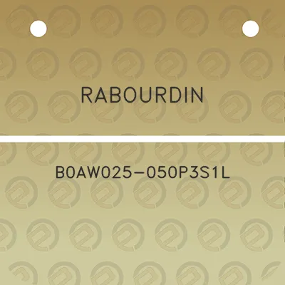 rabourdin-b0aw025-050p3s1l