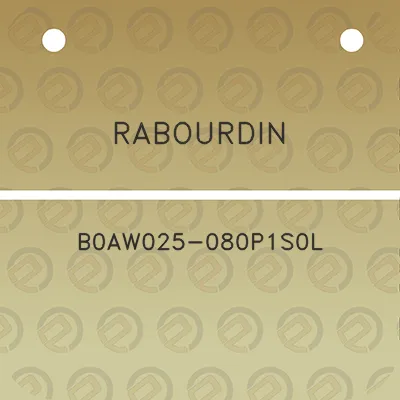 rabourdin-b0aw025-080p1s0l