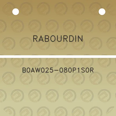 rabourdin-b0aw025-080p1s0r