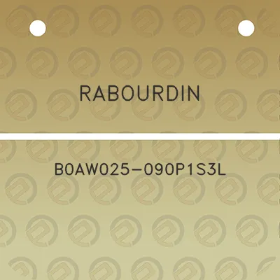 rabourdin-b0aw025-090p1s3l