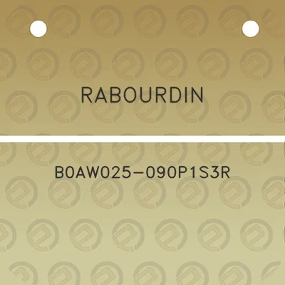 rabourdin-b0aw025-090p1s3r