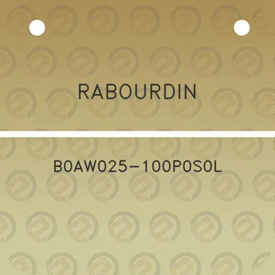 rabourdin-b0aw025-100p0s0l