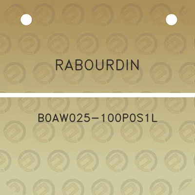 rabourdin-b0aw025-100p0s1l