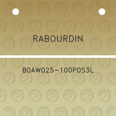 rabourdin-b0aw025-100p0s3l