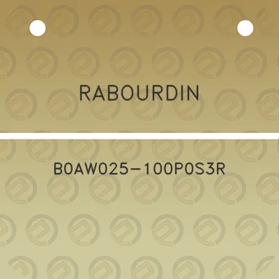 rabourdin-b0aw025-100p0s3r