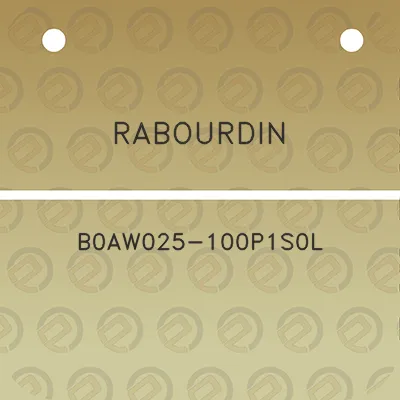 rabourdin-b0aw025-100p1s0l