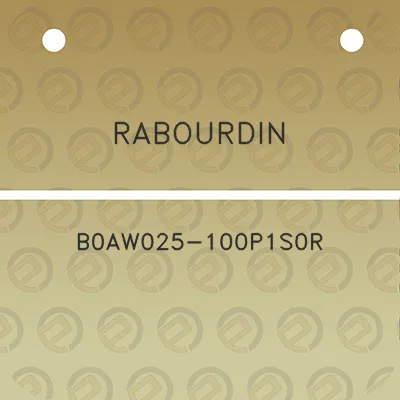 rabourdin-b0aw025-100p1s0r