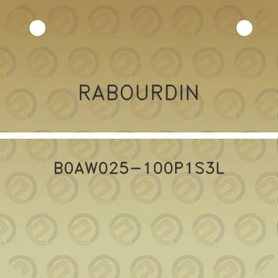 rabourdin-b0aw025-100p1s3l